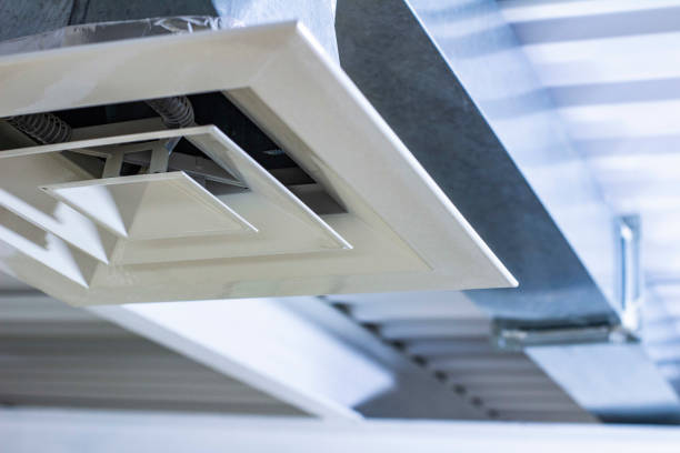 Best Ductwork Cleaning Services  in Pecatonica, IL