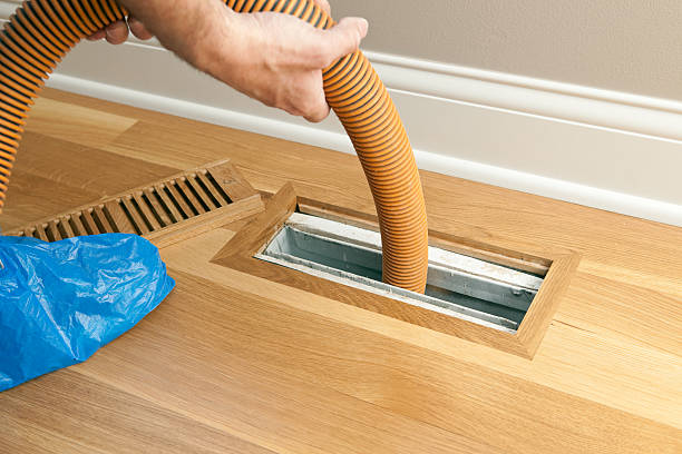 Best HVAC Air Duct Cleaning  in Pecatonica, IL